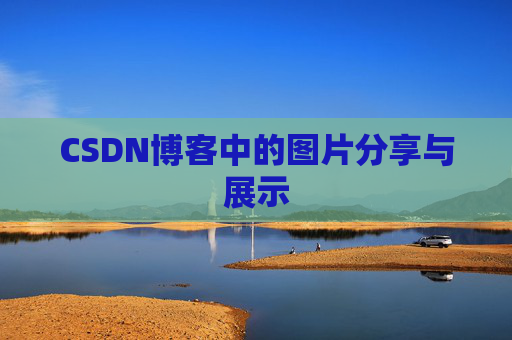 CSDN博客中的图片分享与展示